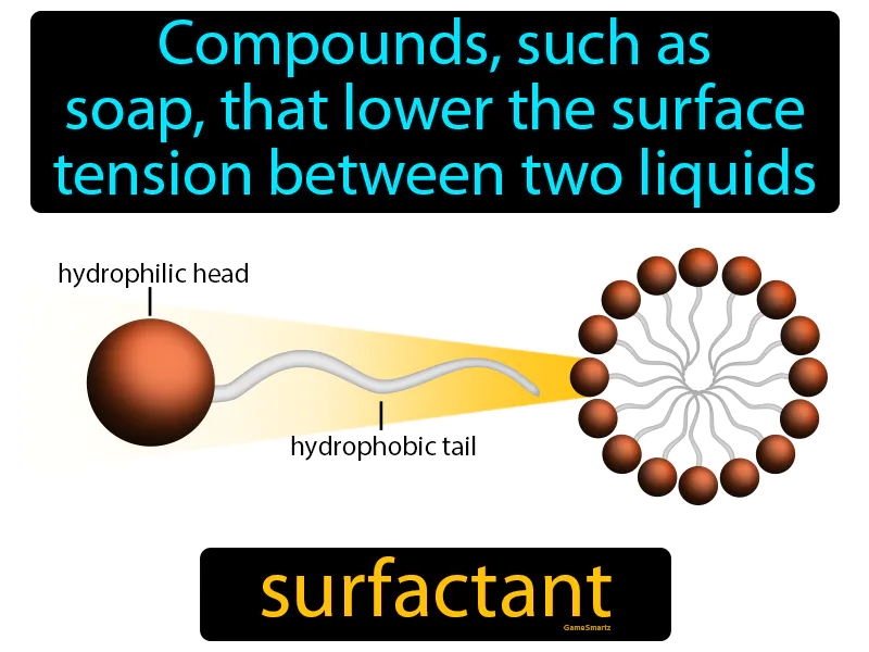 Surfactant Definition