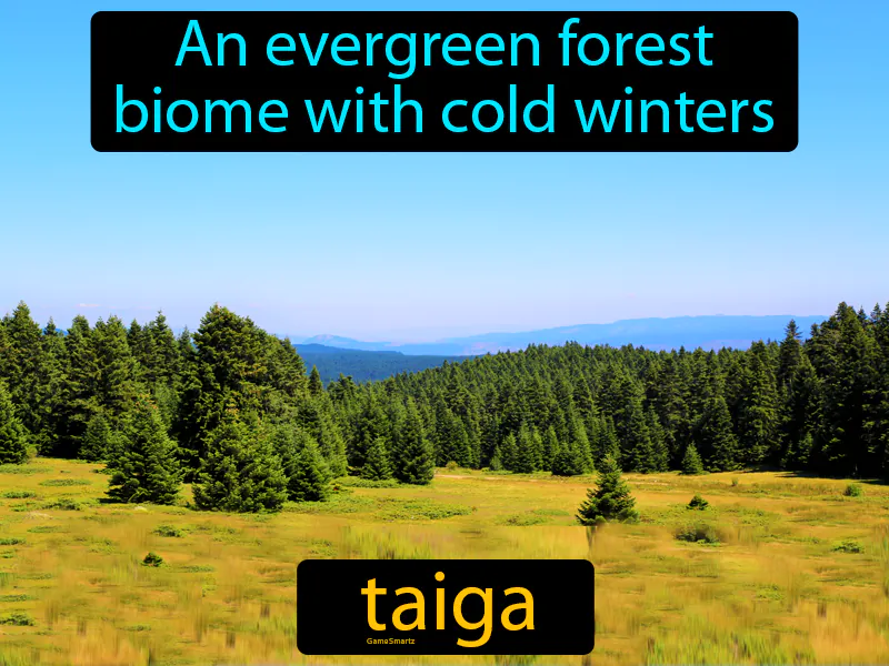 Taiga Definition