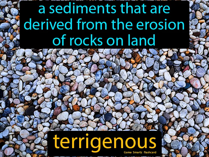 Terrigenous Definition