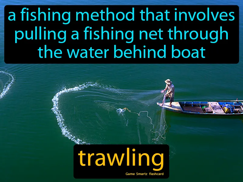 Trawling Definition