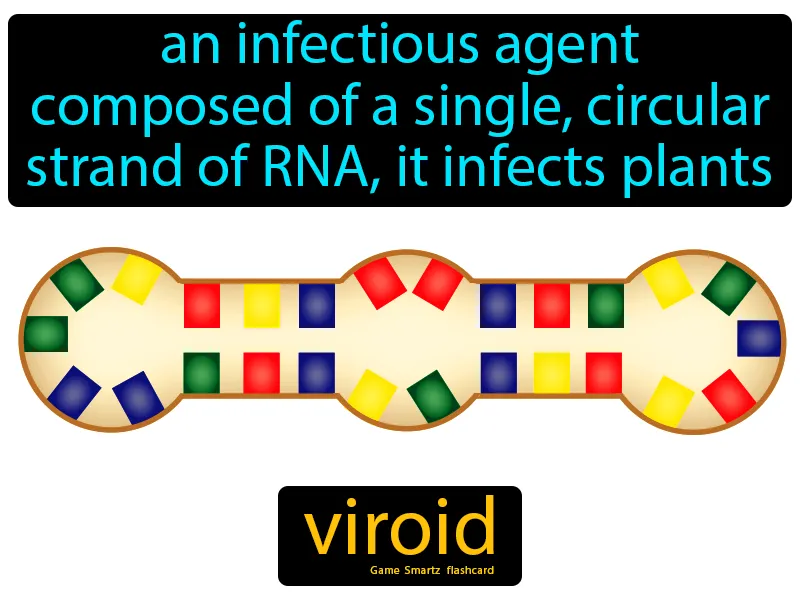 Viroid Definition