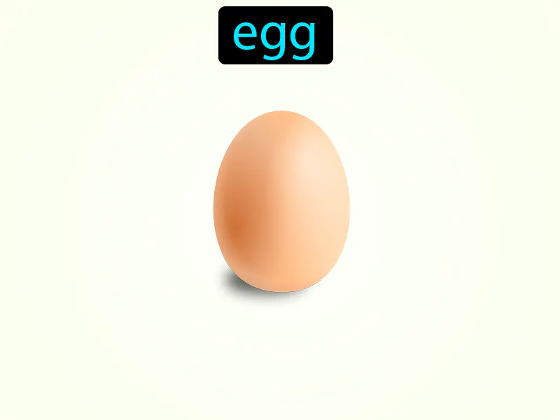 El huevo Definition