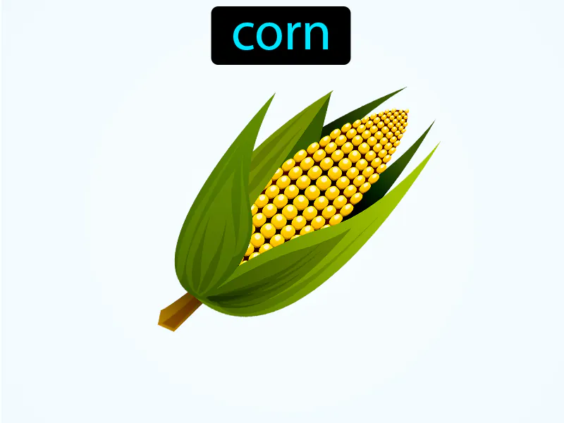 El maiz Definition