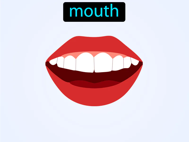 La boca Definition