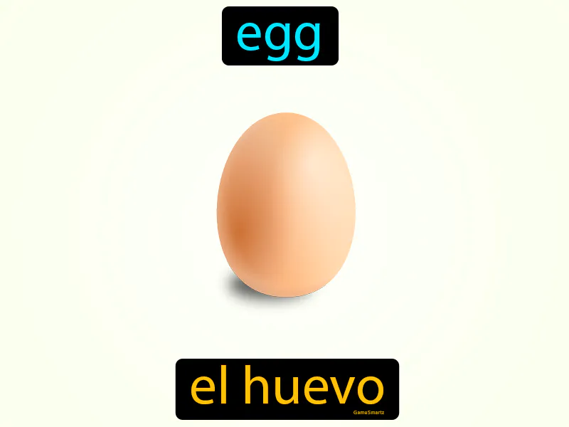 El huevo Definition